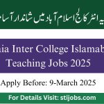 Fazaia Schools and Colleges Teaching jobs 2025